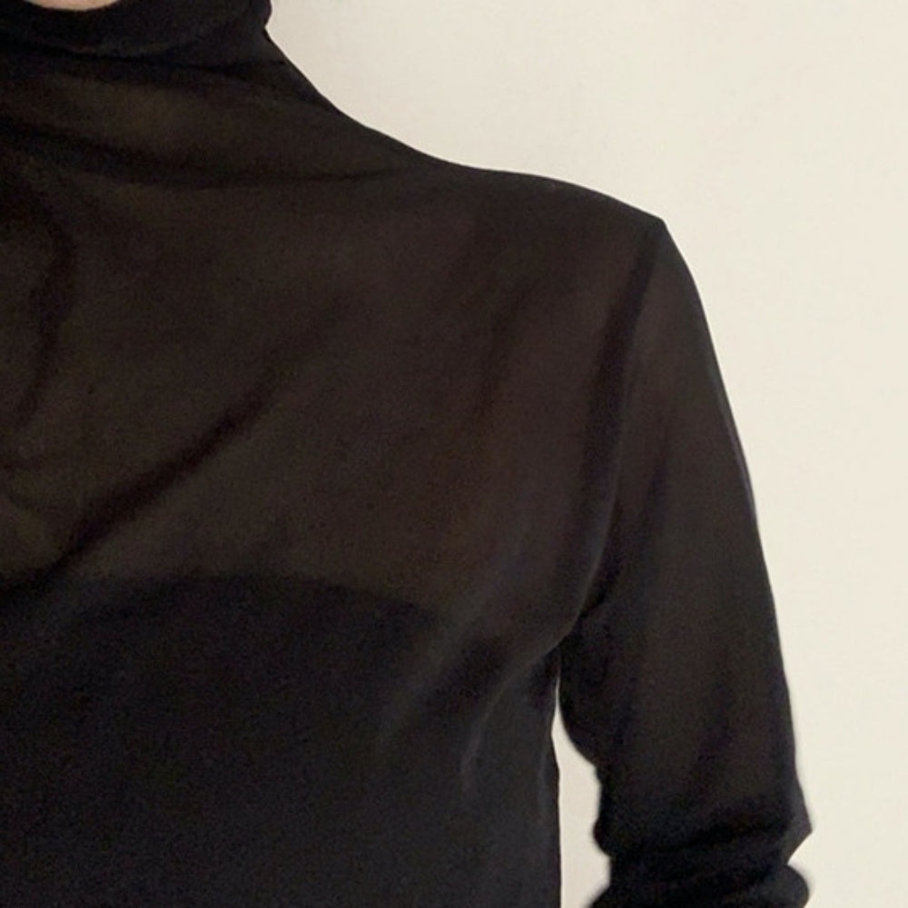 シアーハイネックロングスリーブトップス