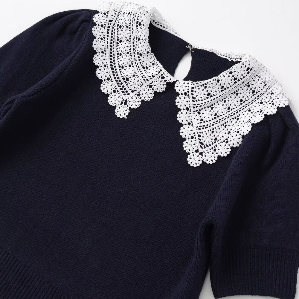 レース襟付き半袖ニット｜オフィスカジュアル レディース 通販【ミレジェネ】