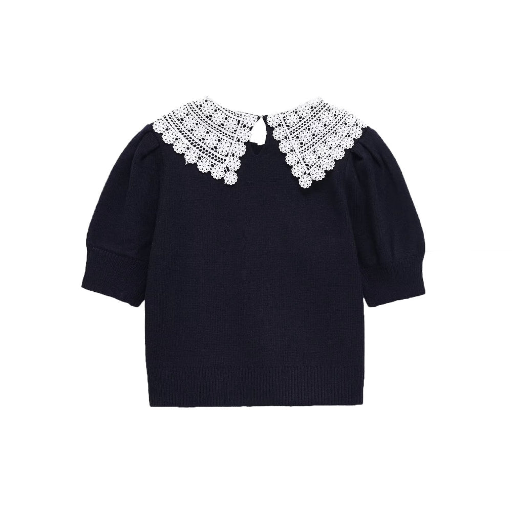 レース襟付き半袖ニット｜オフィスカジュアル レディース 通販【ミレジェネ】